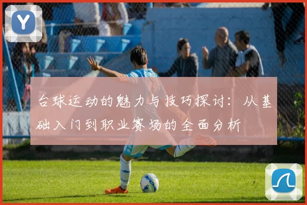 台球运动的魅力与技巧探讨：从基础入门到职业赛场的全面分析