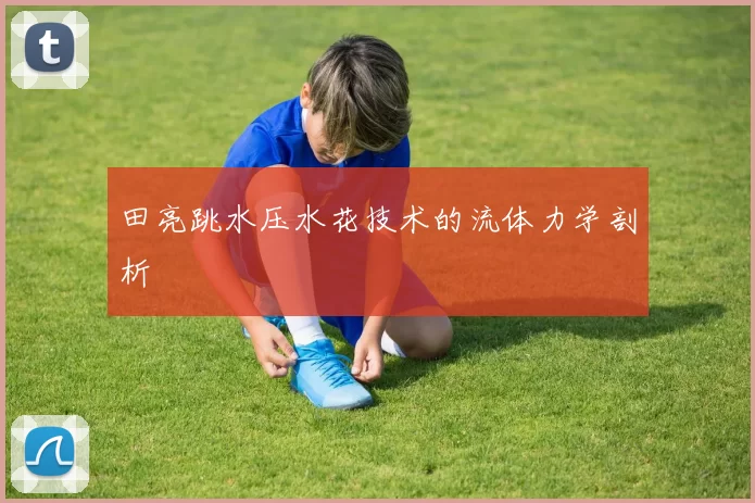 田亮跳水压水花技术的流体力学剖析