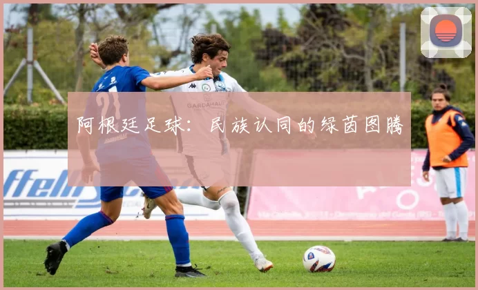阿根廷足球：民族认同的绿茵图腾