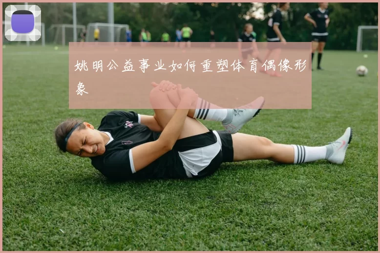 姚明公益事业如何重塑体育偶像形象