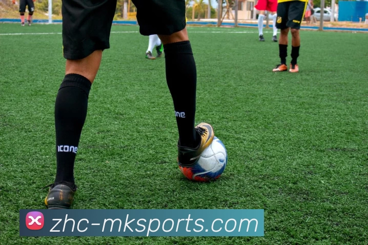 多媒体互动体验